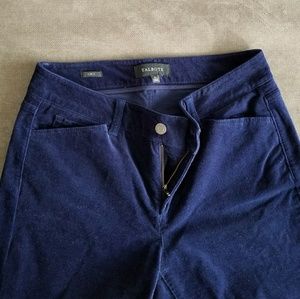 Talbots Navy Pants